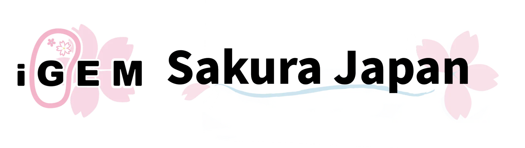 SakuraJapan